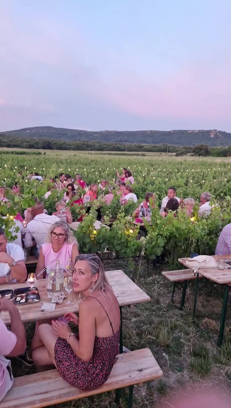 People dining at wooden tables in a vineyard during a sunset celebration.
