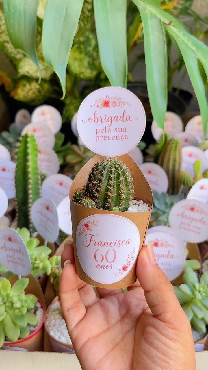 Small cactus in a cardboard holder with 60th birthday tags and succulents.