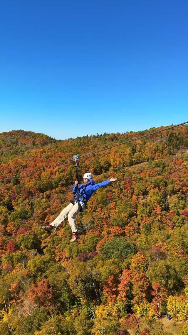 Person ziplining over a colorful autumn forest under a clear blue sky