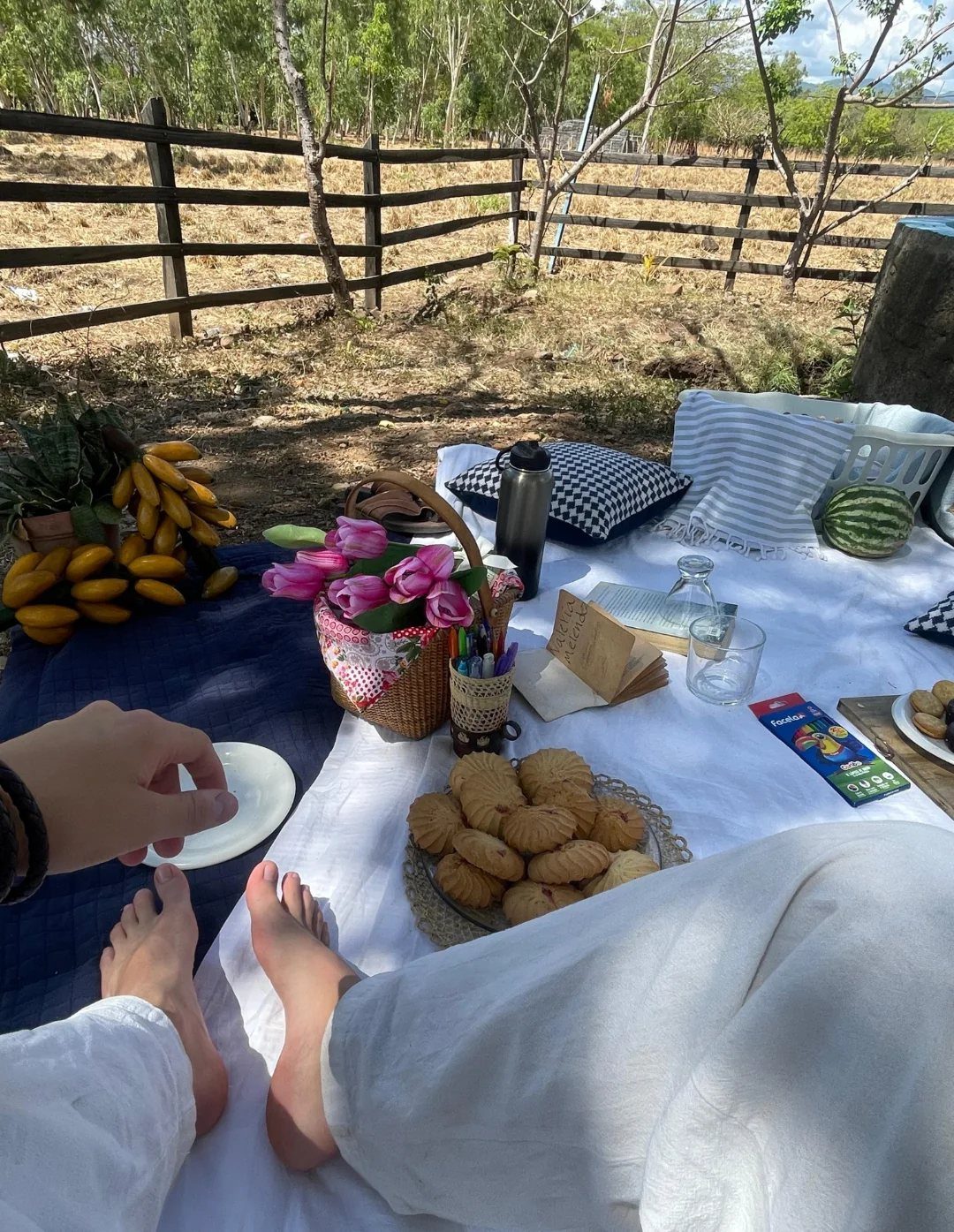 Picnic setup with cookies, fruit, and flowers on a blanket in a field