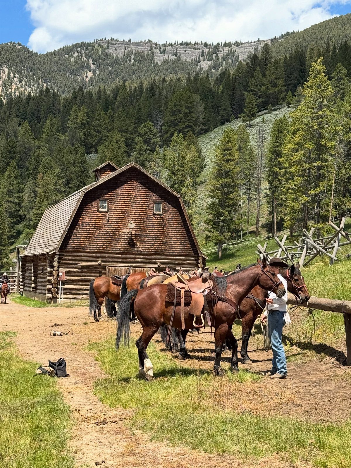 Rustic log barn and saddled horses in a mountain valley with evergreen forests.