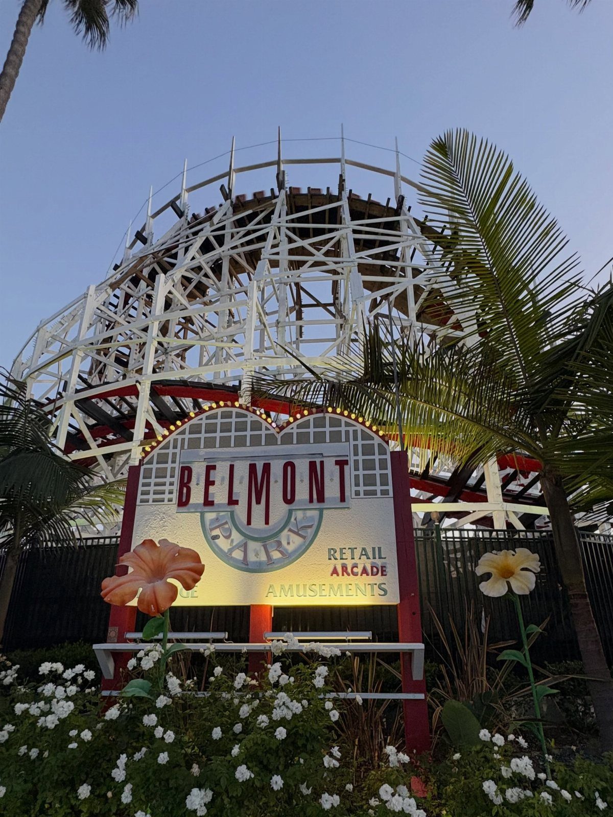 Belmont Park sign with the Giant Dipper rollercoaster and palm trees in background