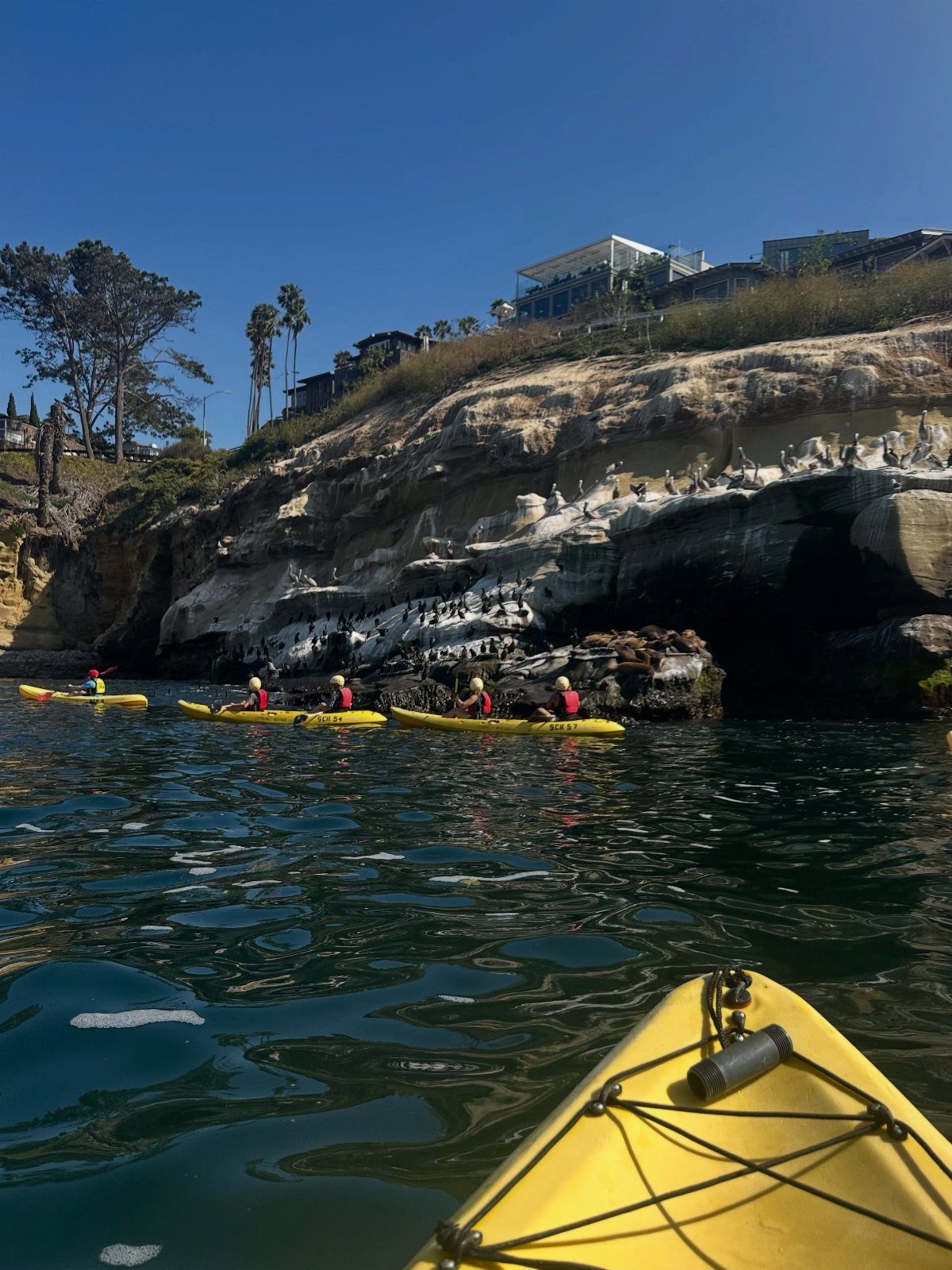 People in yellow kayaks paddling near a rocky cliffside in blue ocean water