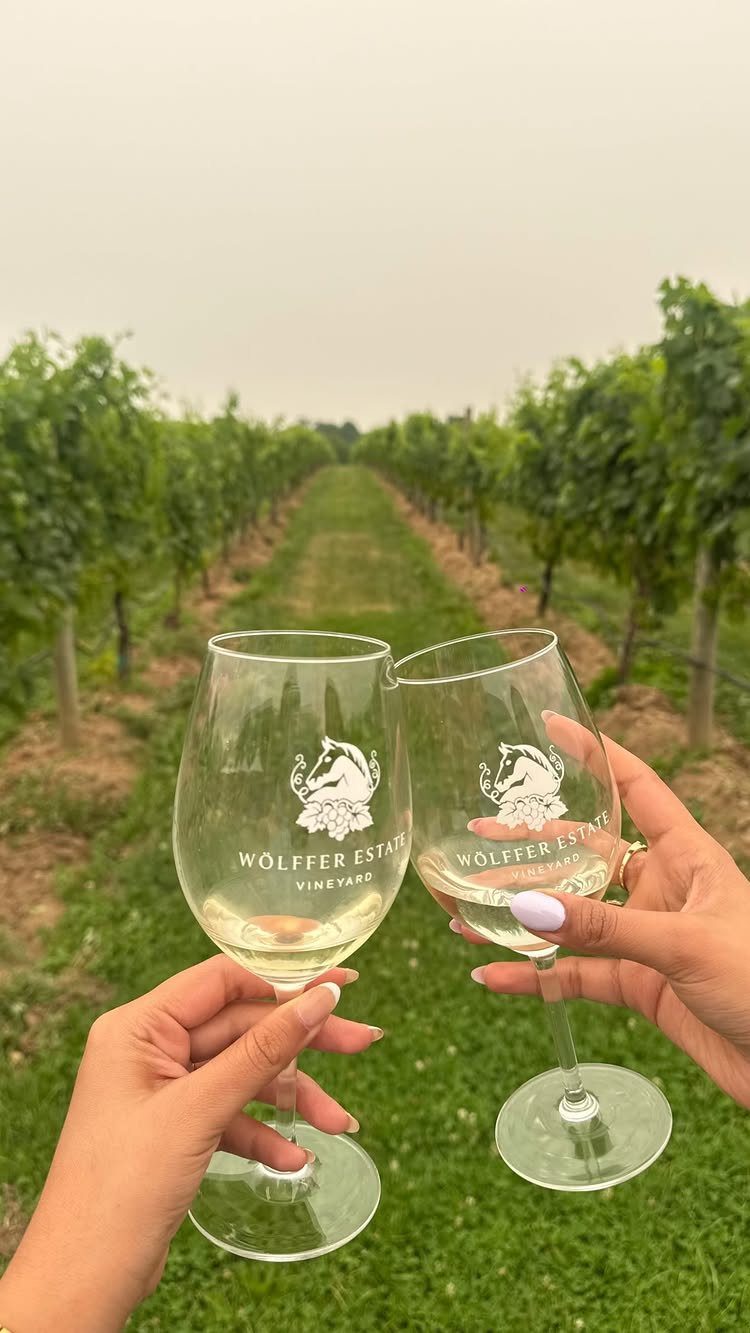 Two wine glasses clinking in a lush green vineyard with rows of vines.